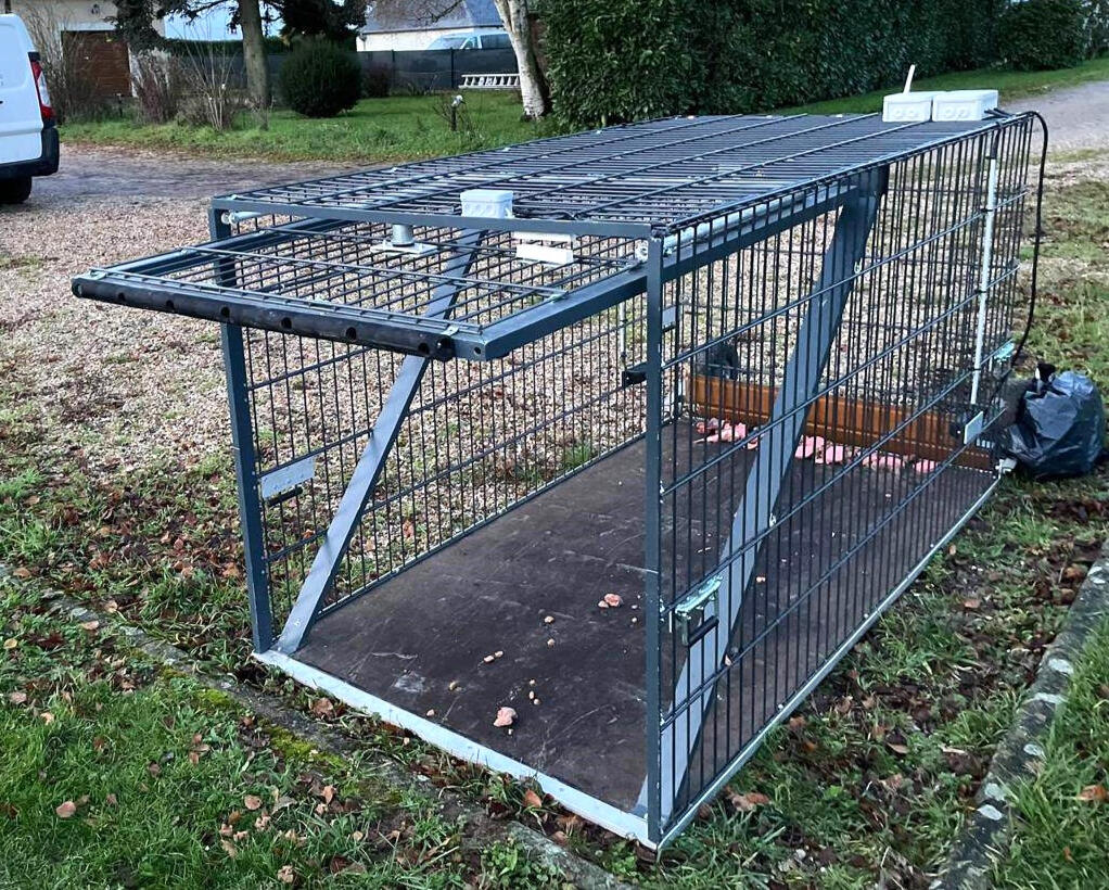 Capture Yala piège chien perdu