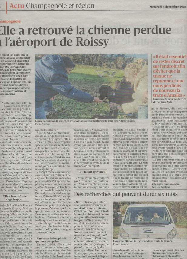 Capture Yala chien perdu